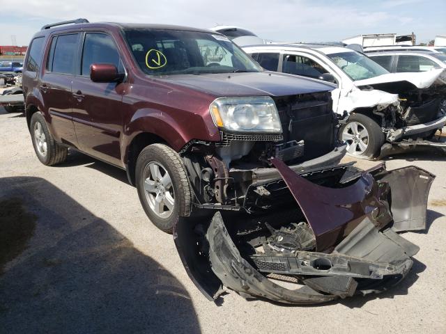 HONDA PILOT EXL 2011 5fnyf3h58bb050345