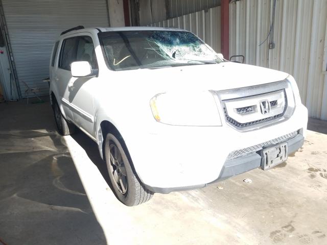 HONDA PILOT EXL 2010 5fnyf3h59ab001265