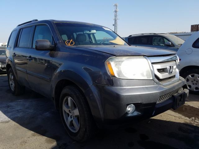 HONDA PILOT EXL 2010 5fnyf3h59ab004005