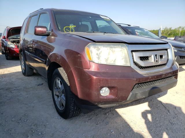 HONDA PILOT EXL 2010 5fnyf3h59ab016302