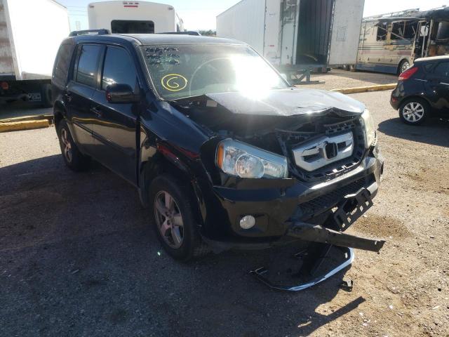 HONDA PILOT EXL 2010 5fnyf3h59ab016803