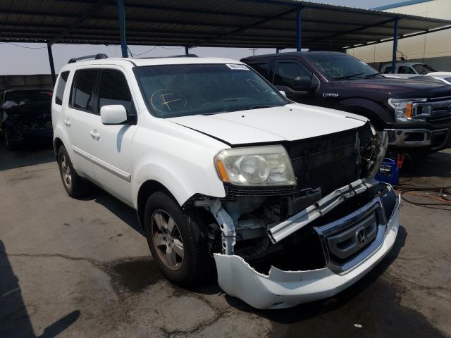 HONDA PILOT EXL 2011 5fnyf3h59bb036289