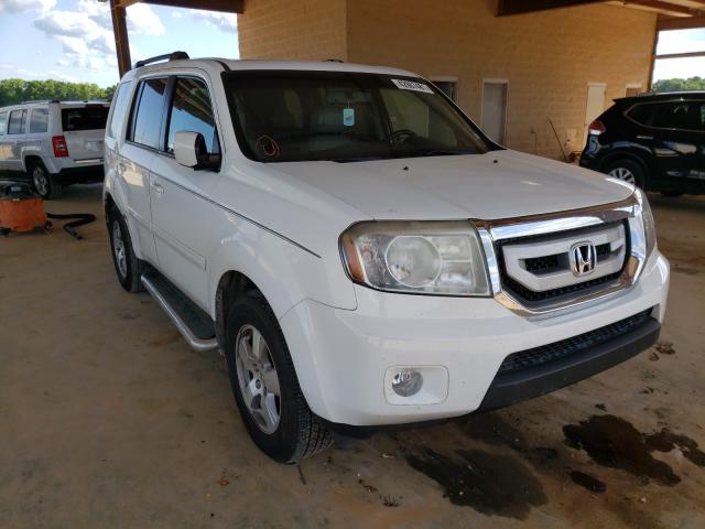 HONDA PILOT EXL 2011 5fnyf3h59bb038883