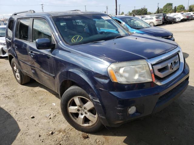 HONDA PILOT EXL 2011 5fnyf3h59bb057868