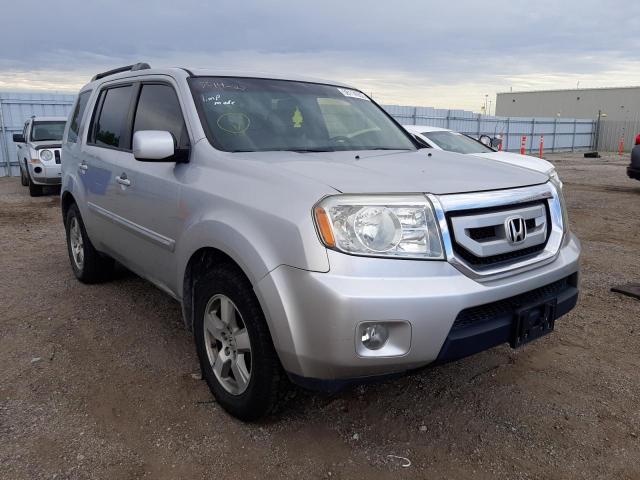 HONDA PILOT EXL 2010 5fnyf3h5xab002392