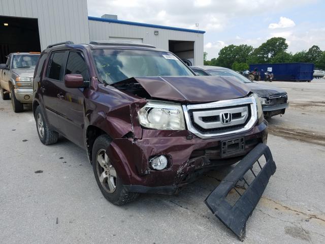 HONDA PILOT EXL 2010 5fnyf3h5xab012730