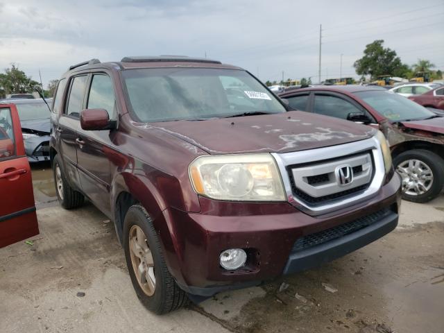 HONDA PILOT EXL 2010 5fnyf3h5xab013781