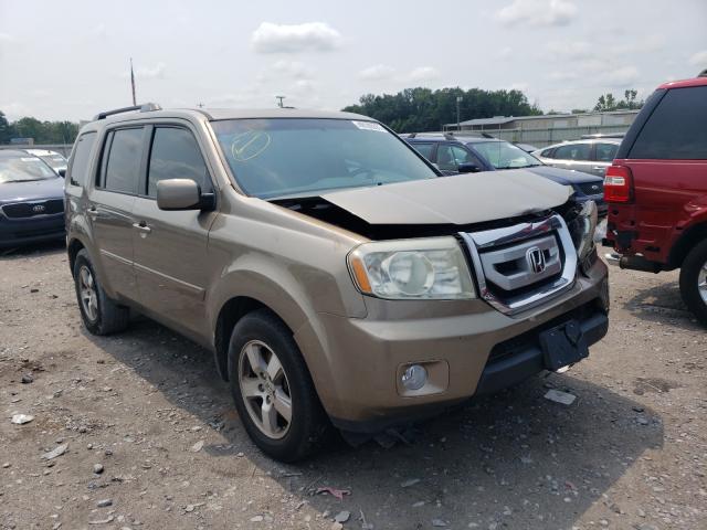 HONDA PILOT EXL 2010 5fnyf3h5xab016146