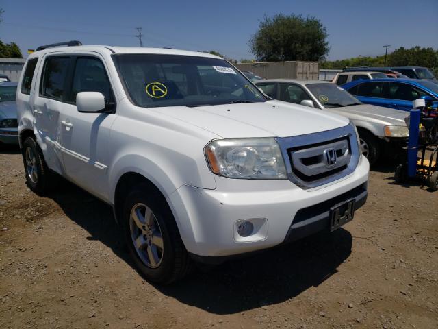 HONDA PILOT EXL 2010 5fnyf3h5xab018561