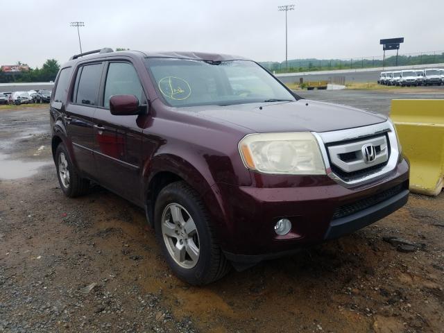 HONDA PILOT EXL 2011 5fnyf3h5xbb005679