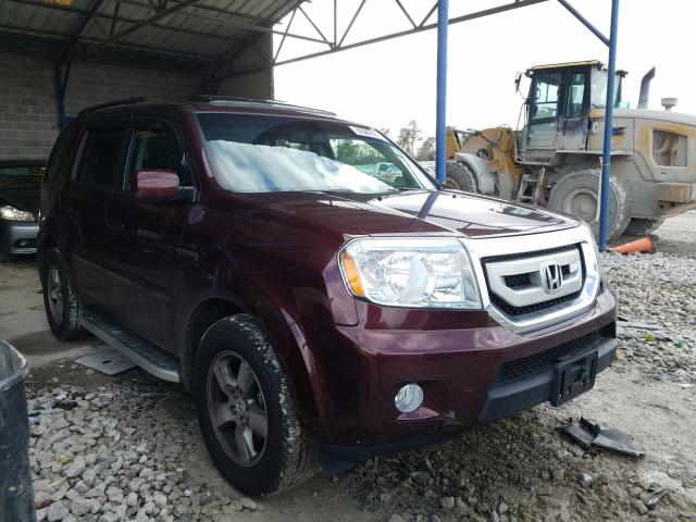 HONDA PILOT EXL 2011 5fnyf3h5xbb014463