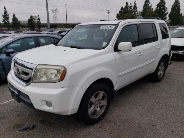 HONDA PILOT EXL 2011 5fnyf3h5xbb016536