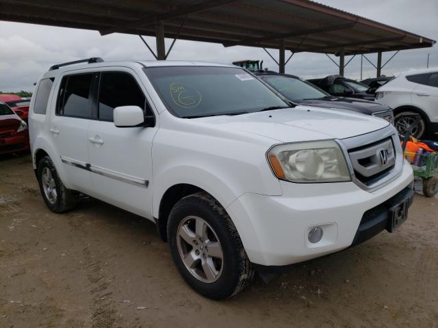 HONDA PILOT EXL 2011 5fnyf3h5xbb036916