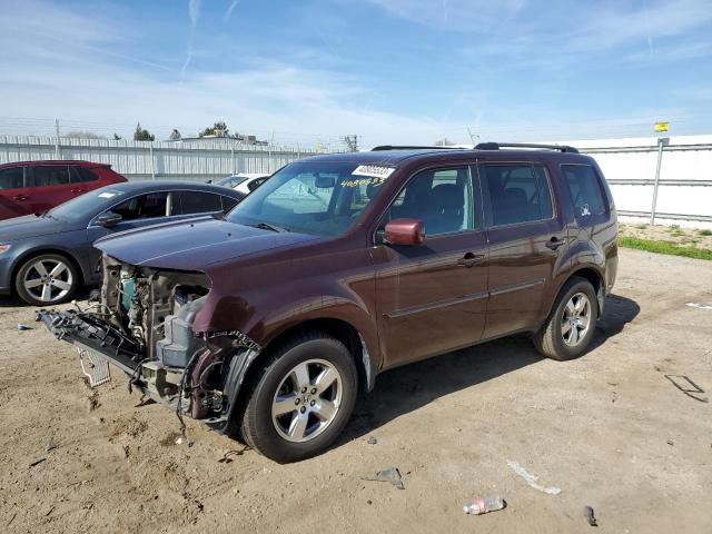 HONDA PILOT EXL 2011 5fnyf3h5xbb041064