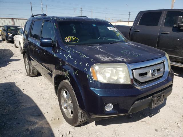 HONDA PILOT EXL 2011 5fnyf3h5xbb042666