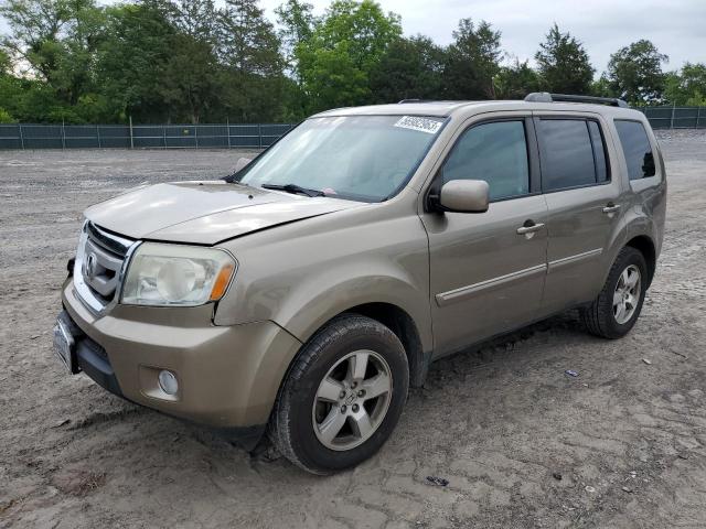 HONDA PILOT EXL 2011 5fnyf3h62bb052892