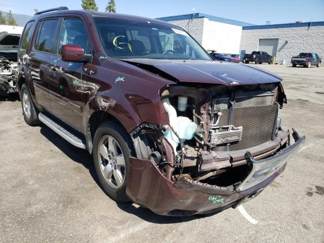 HONDA PILOT EXL 2011 5fnyf3h63bb027693