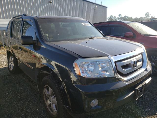 HONDA PILOT EXL 2010 5fnyf3h64ab011615