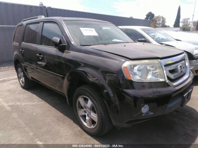 HONDA PILOT 2010 5fnyf3h65ab007606