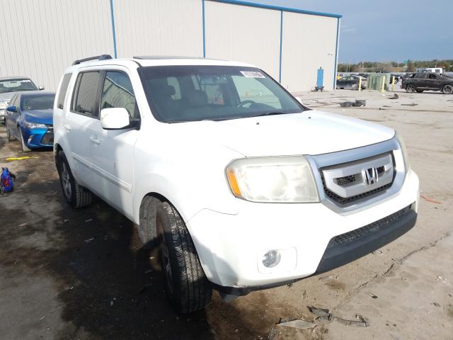 HONDA PILOT EXL 2010 5fnyf3h65ab007783