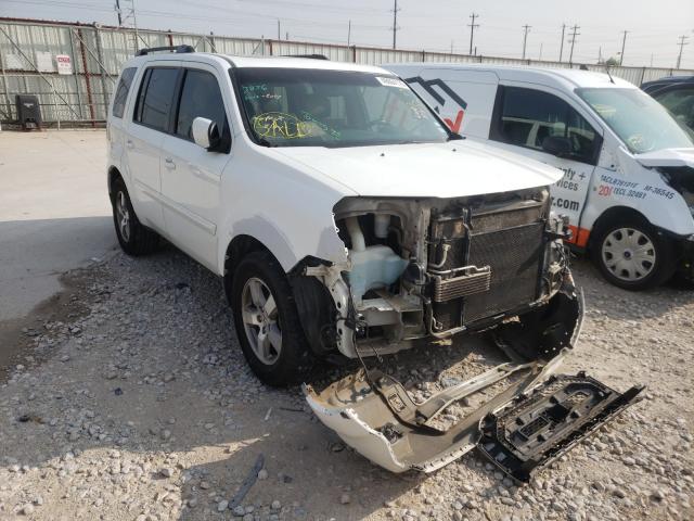 HONDA PILOT EXL 2010 5fnyf3h65ab015513