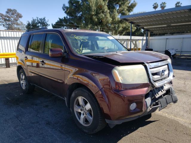 HONDA PILOT EXL 2010 5fnyf3h65ab019755