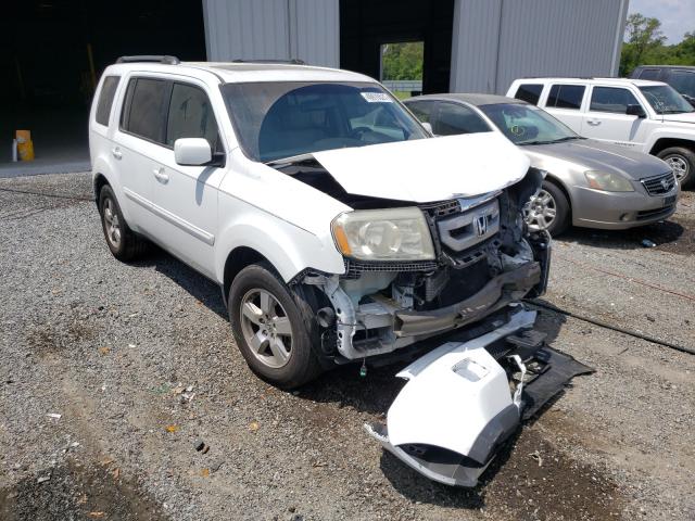 HONDA PILOT EXL 2011 5fnyf3h65bb004108