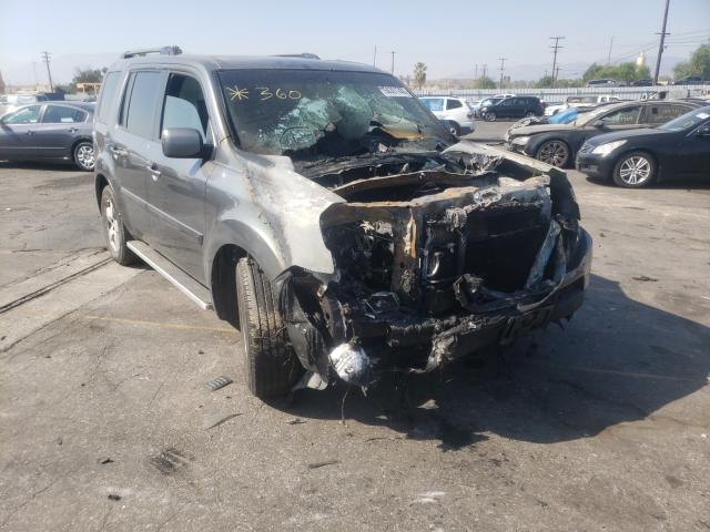 HONDA PILOT EXL 2011 5fnyf3h65bb038601