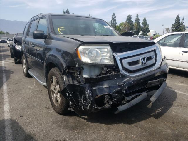 HONDA PILOT EXL 2011 5fnyf3h65bb043524