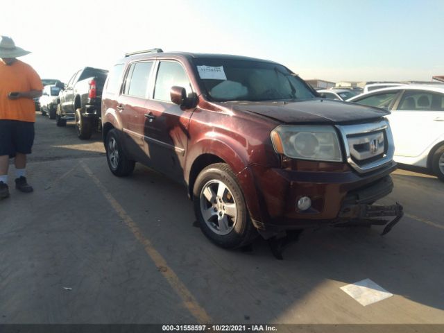 HONDA PILOT 2011 5fnyf3h66bb009317