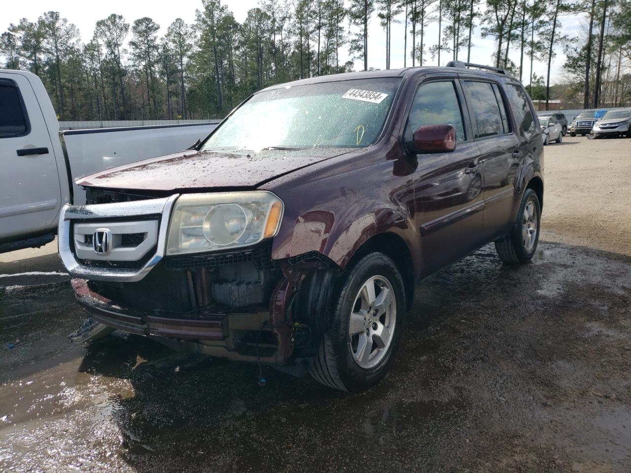 HONDA PILOT 2011 5fnyf3h66bb009351