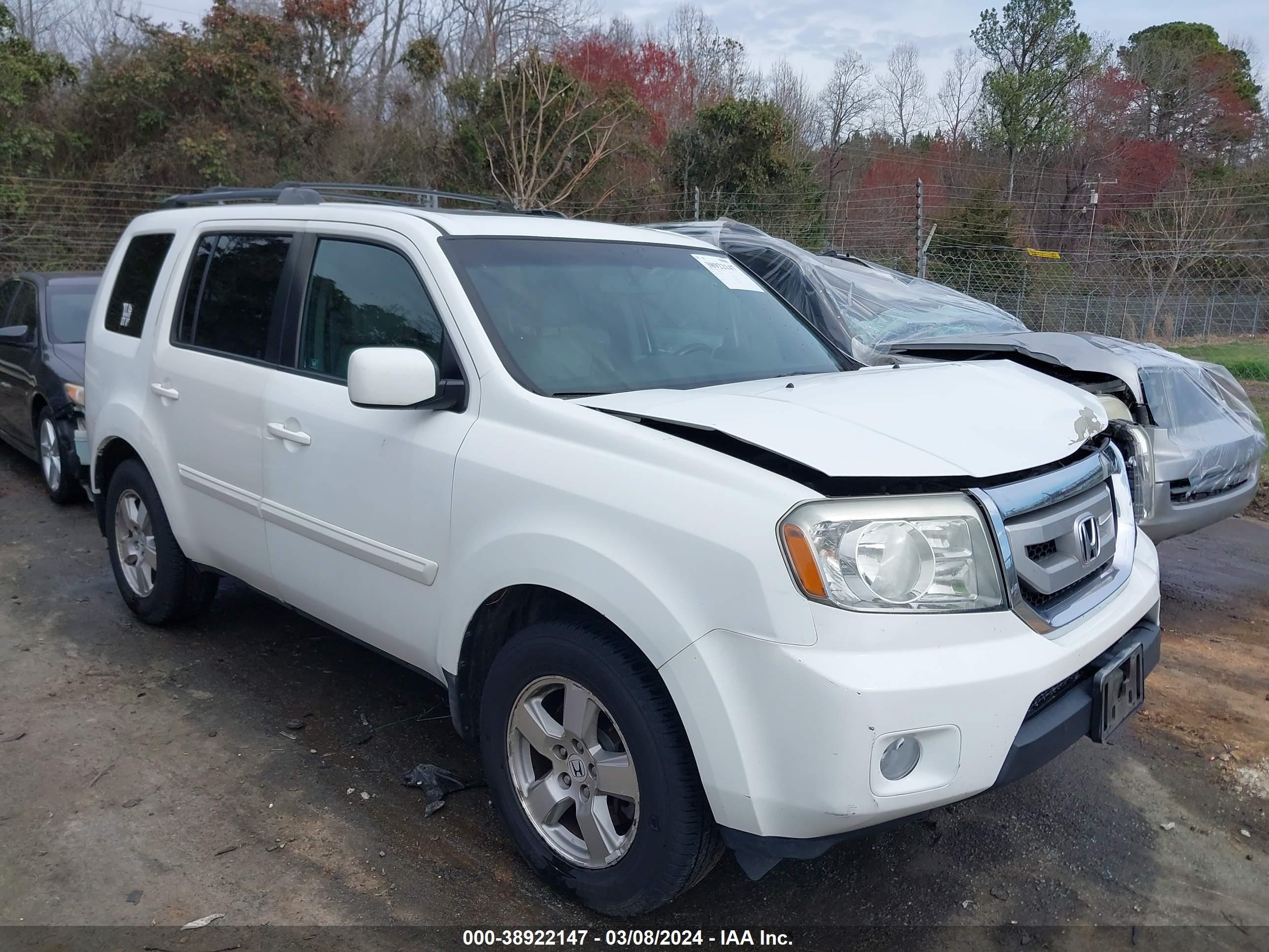 HONDA PILOT 2011 5fnyf3h66bb036243