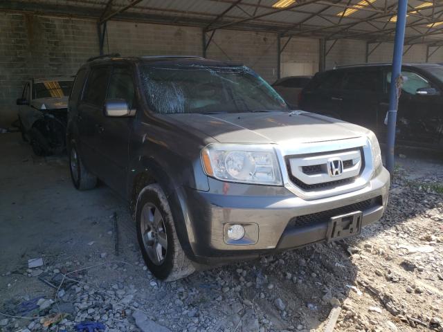 HONDA PILOT EXL 2011 5fnyf3h67bb056047