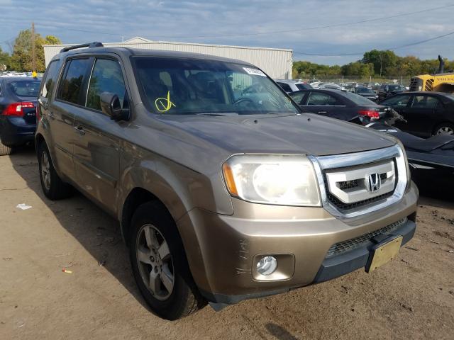 HONDA PILOT EXL 2010 5fnyf3h68ab001167