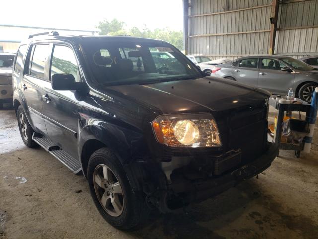 HONDA PILOT EXL 2010 5fnyf3h68ab003534