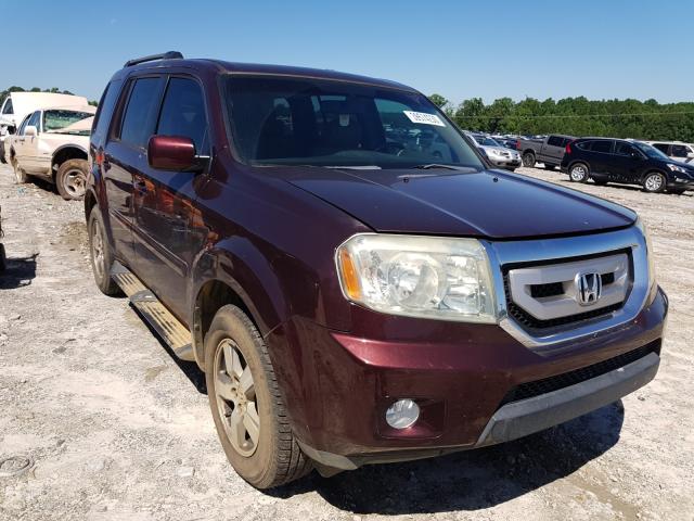 HONDA PILOT EXL 2010 5fnyf3h68ab009401