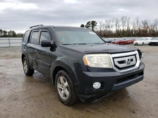 HONDA PILOT EXL 2010 5fnyf3h68ab009656