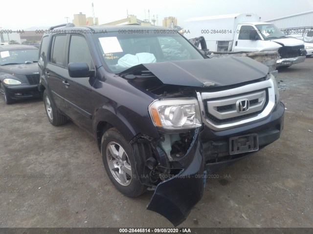 HONDA PILOT 2010 5fnyf3h69ab013876