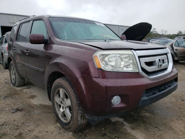 HONDA PILOT EXL 2011 5fnyf3h69bb015502