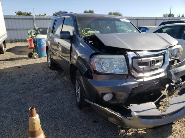 HONDA PILOT EXL 2011 5fnyf3h69bb046247