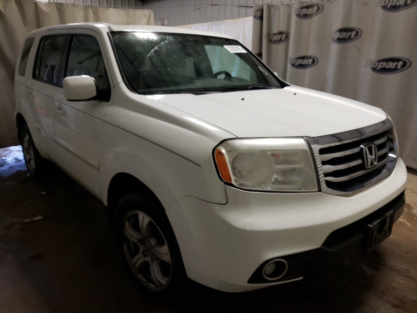 HONDA PILOT EXL 2013 5fnyf3h69db006236