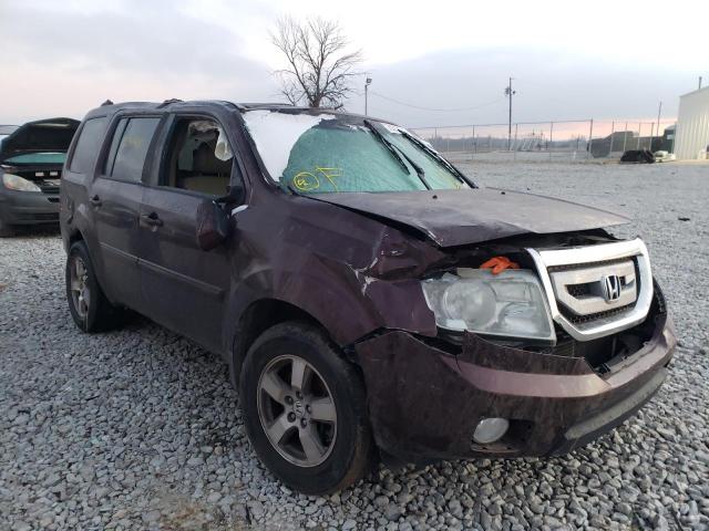 HONDA PILOT EXL 2010 5fnyf3h6xab012154