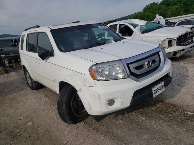 HONDA PILOT EXLN 2011 5fnyf3h72bb055512