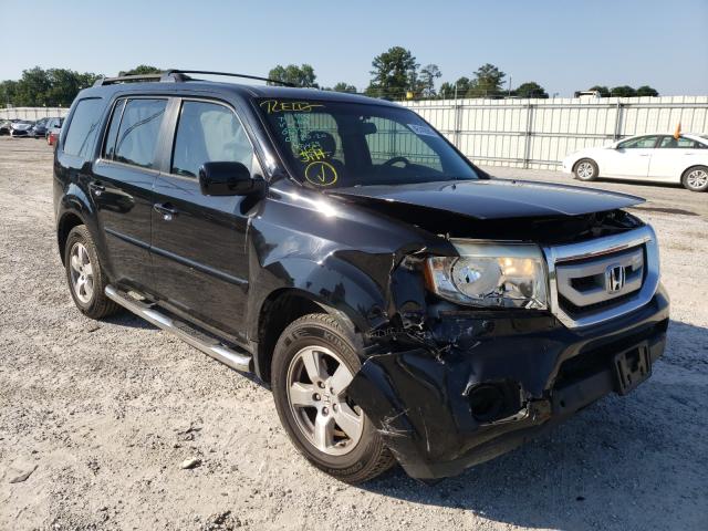 HONDA PILOT EXLN 2011 5fnyf3h73bb004018