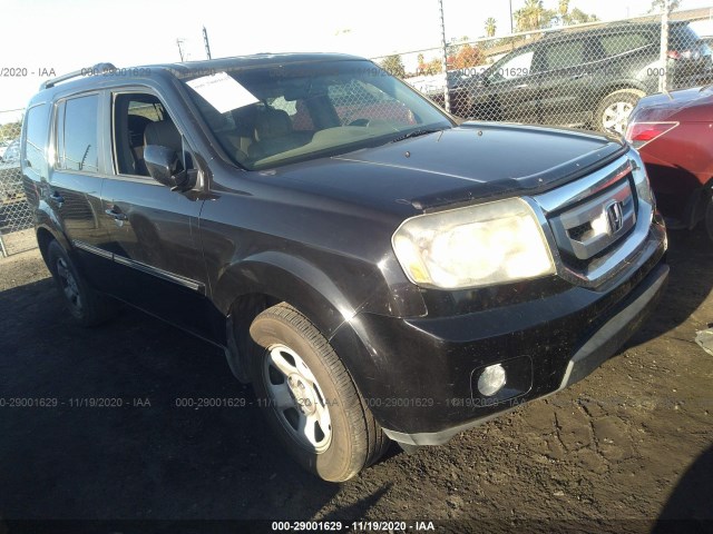 HONDA PILOT 2010 5fnyf3h84ab013981