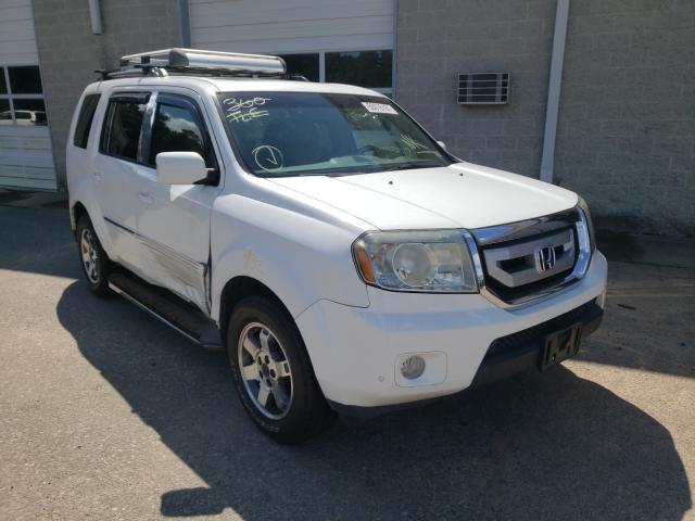 HONDA PILOT 2010 5fnyf3h8xab022622