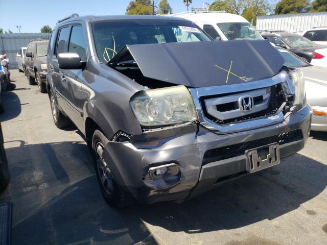 HONDA PILOT TOUR 2011 5fnyf3h93bb005896