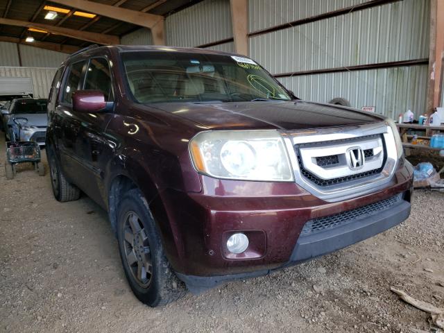 HONDA PILOT TOUR 2010 5fnyf3h94ab013150