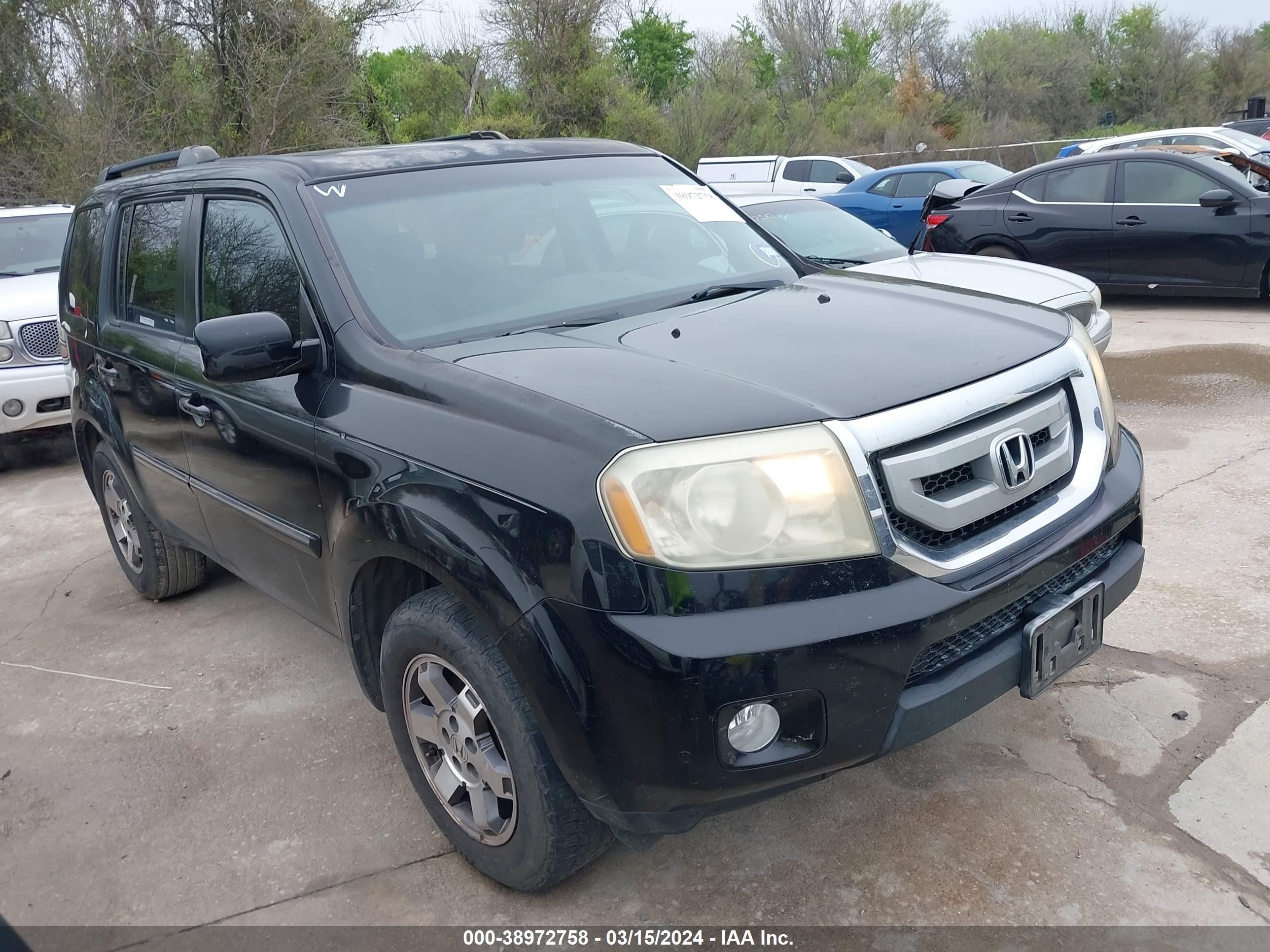 HONDA PILOT 2011 5fnyf3h96bb053831