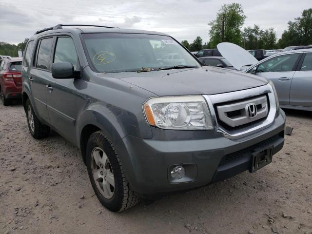 HONDA PILOT EX 2009 5fnyf48409b001647